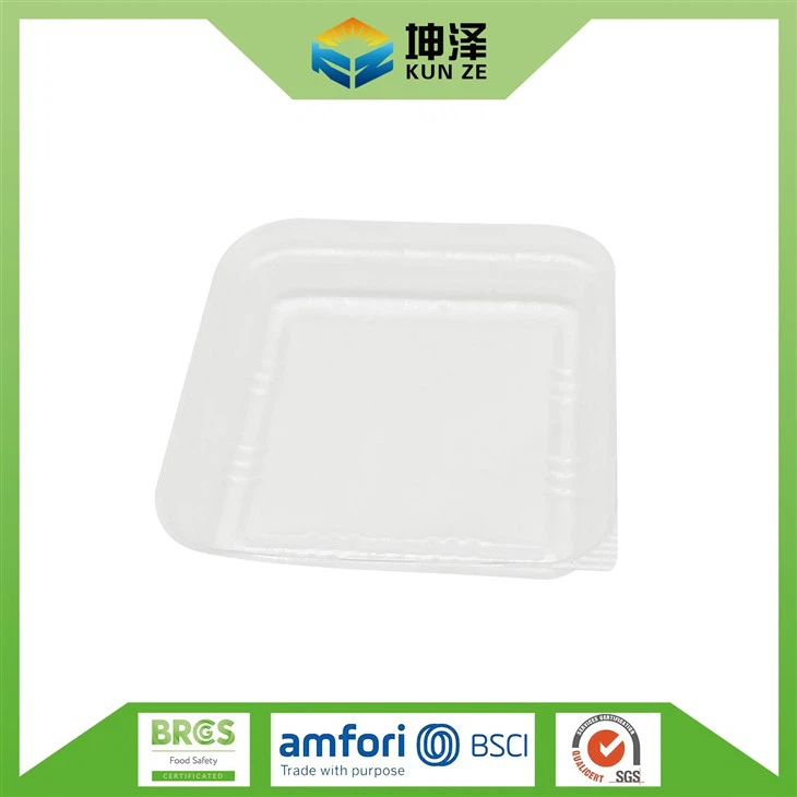 Cookie Tray With Lid