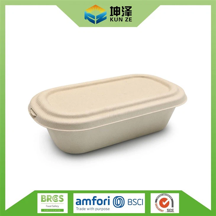 Eco Friendly Salad Box