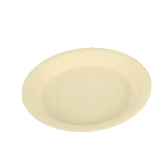 Plate Lunch Box