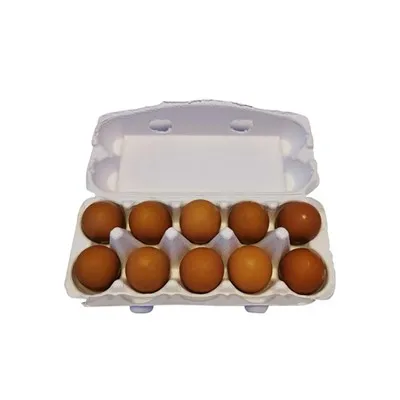 ไข่ 10 ถาด
